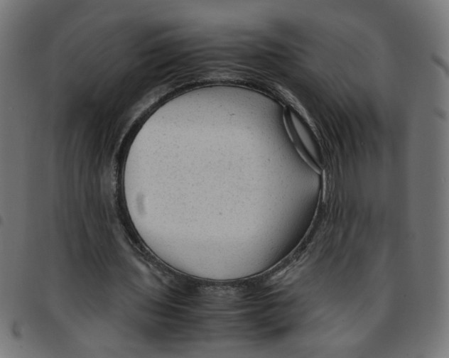X0000096940435200803071009