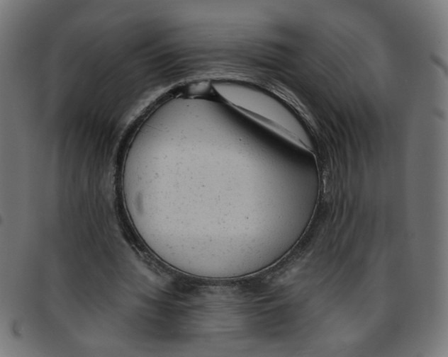 X0000096940436200803071009