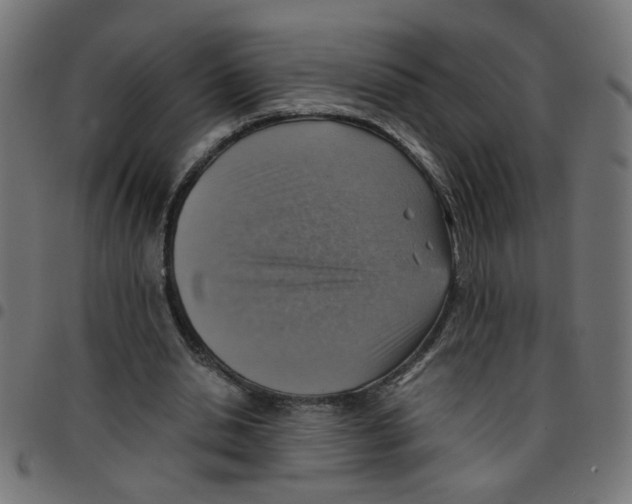 X0000096940438200803071009