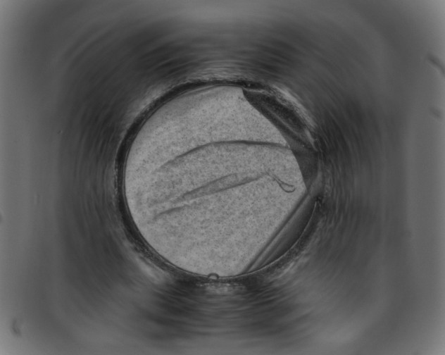 X0000096940439200803071009