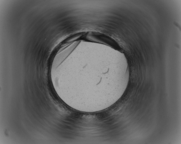 X0000096940440200803071009