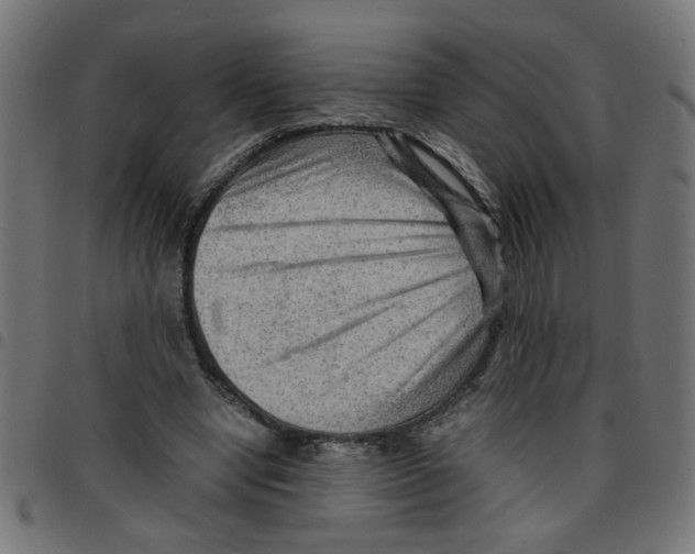 X0000096940442200803071009