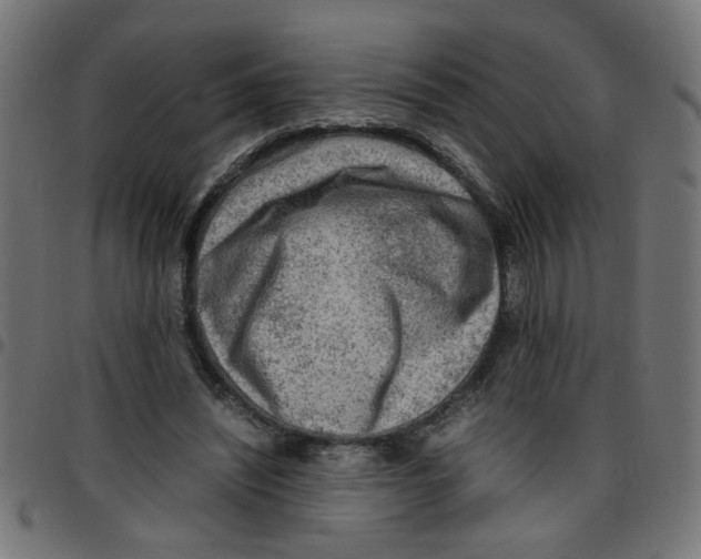 X0000096940444200803071009