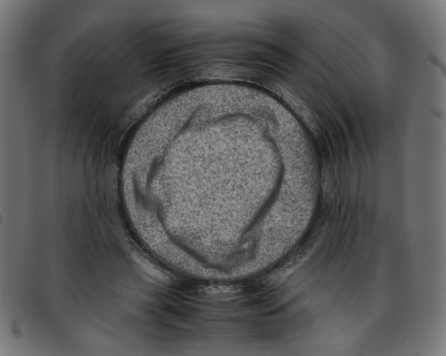 X0000096940445200803071009