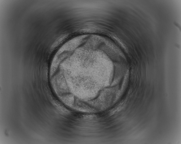 X0000096940446200803071009