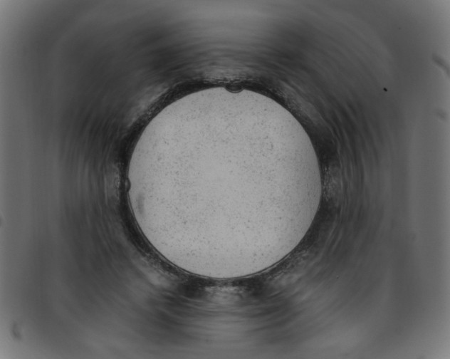X0000096940448200803071009