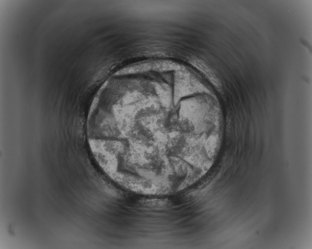 X0000096940449200803071009