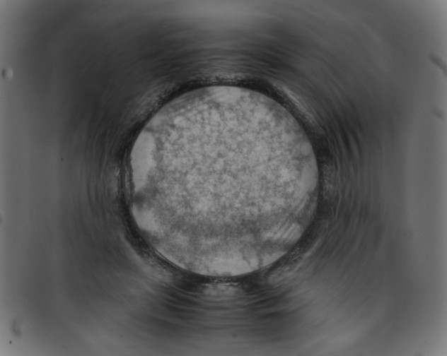 X0000096940451200803071009