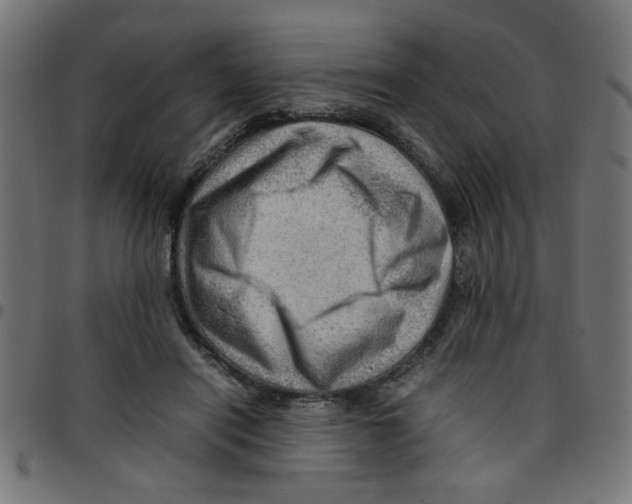 X0000096940454200803071009