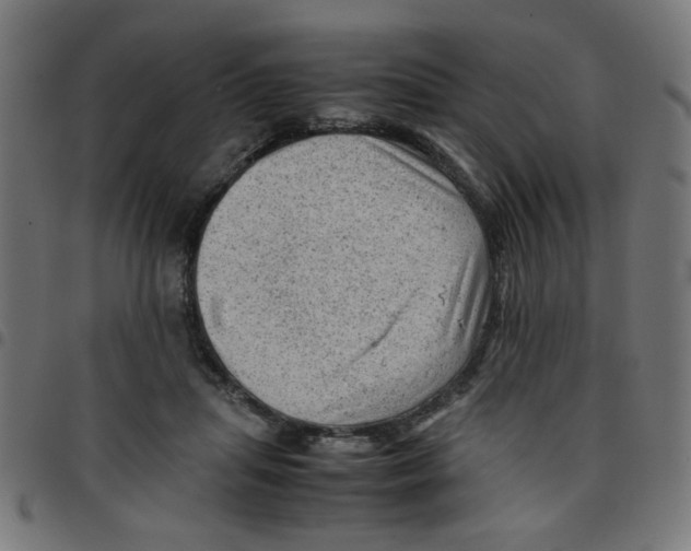 X0000096940455200803071010