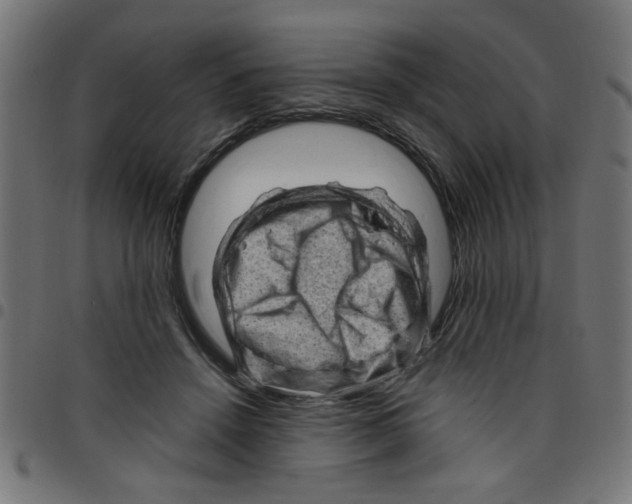 X0000096940456200803071010