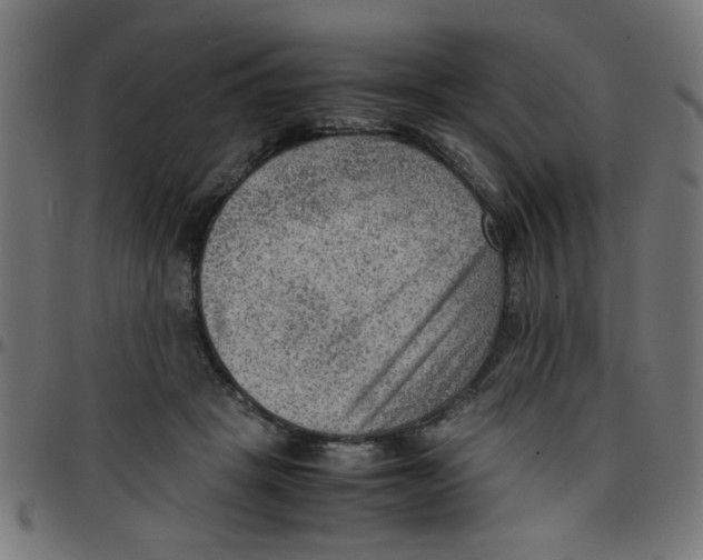X0000096940457200803071010