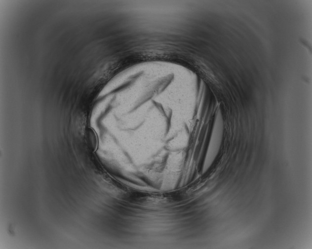 X0000096940458200803071010