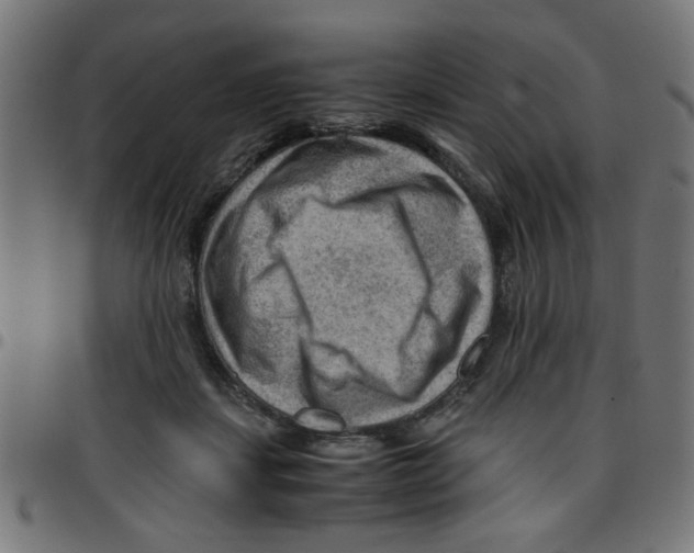 X0000096940459200803071010