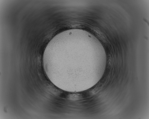 X0000096940461200803071010