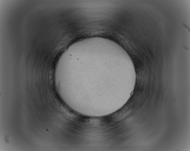 X0000096940462200803071010