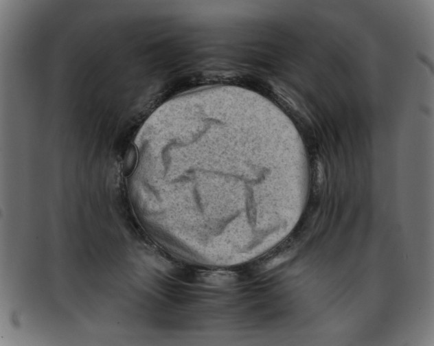 X0000096940463200803071010