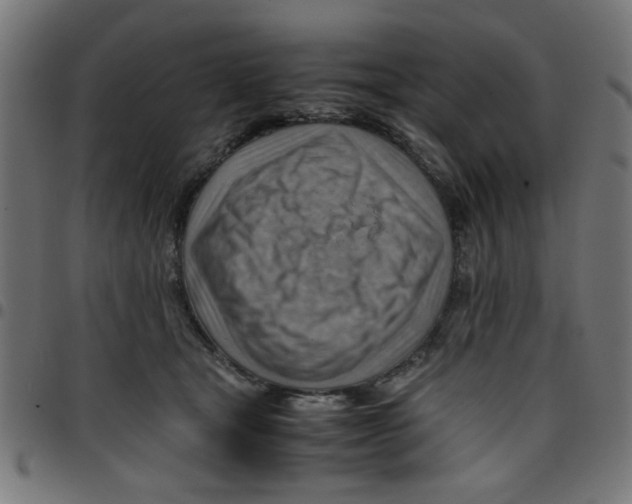 X0000096940465200803071010