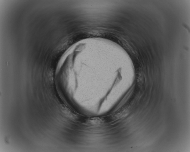 X0000096940466200803071010