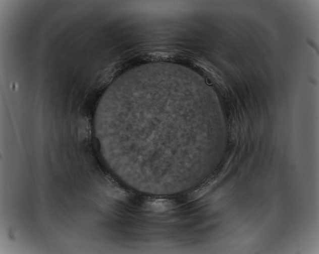 X0000096940467200803071010