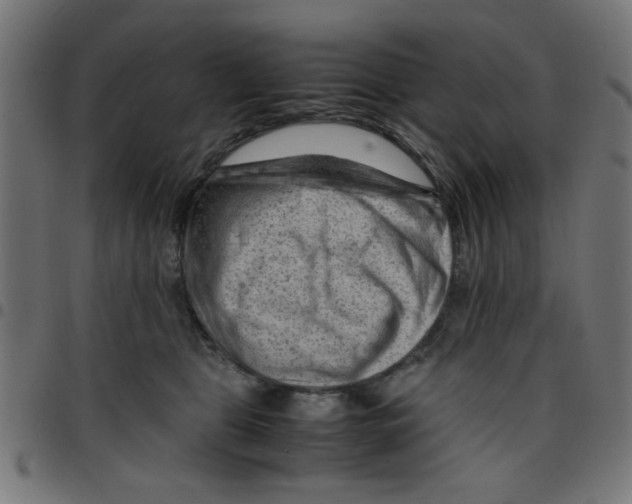 X0000096940469200803071010