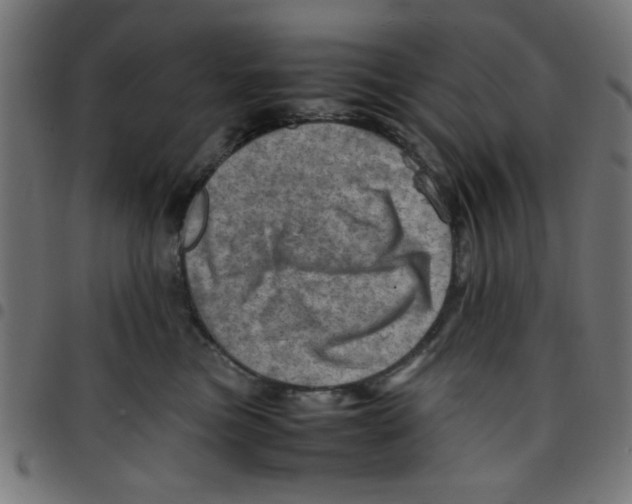 X0000096940473200803071010
