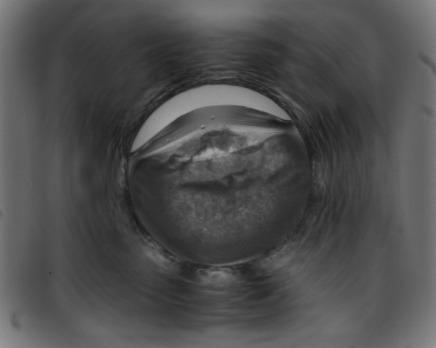 X0000096940475200803071010