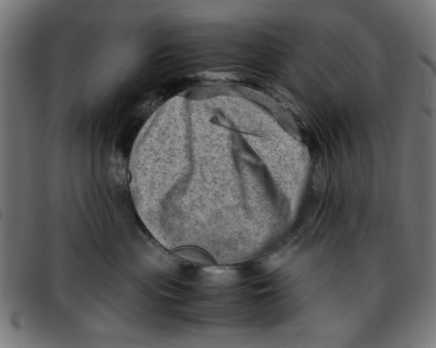 X0000096940477200803071010