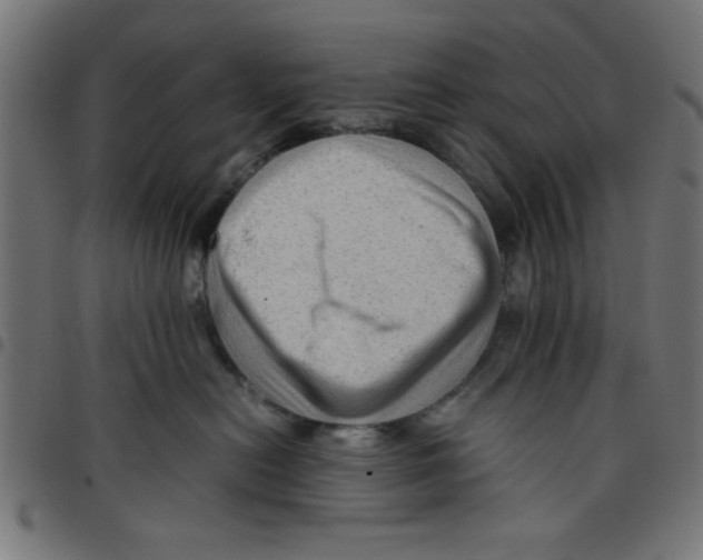 X0000096940478200803071010