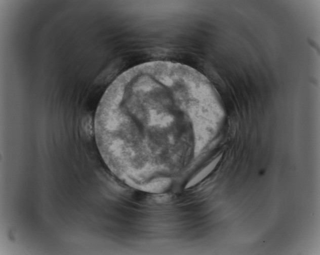 X0000096940479200803071010