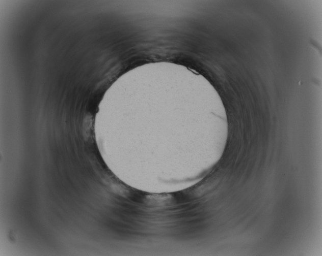 X0000096940480200803071010