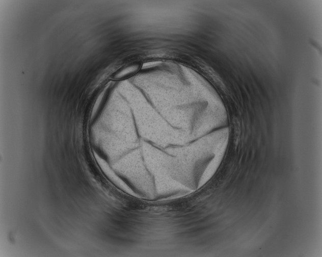X0000096940482200803071009