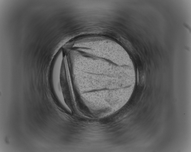 X0000096940483200803071009