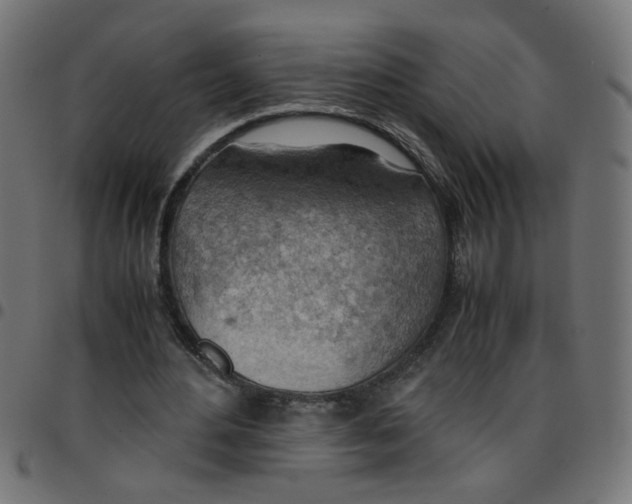 X0000096940484200803071009