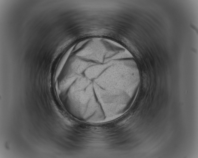 X0000096940486200803071009