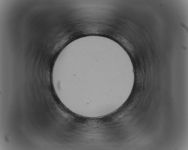 X0000096940489200803071009