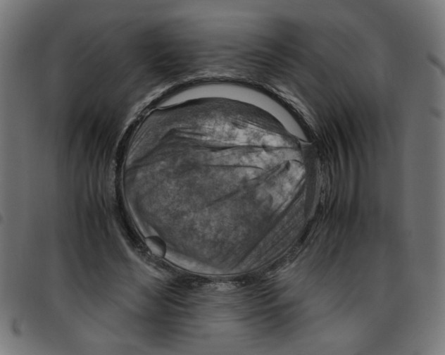 X0000096940492200803071009