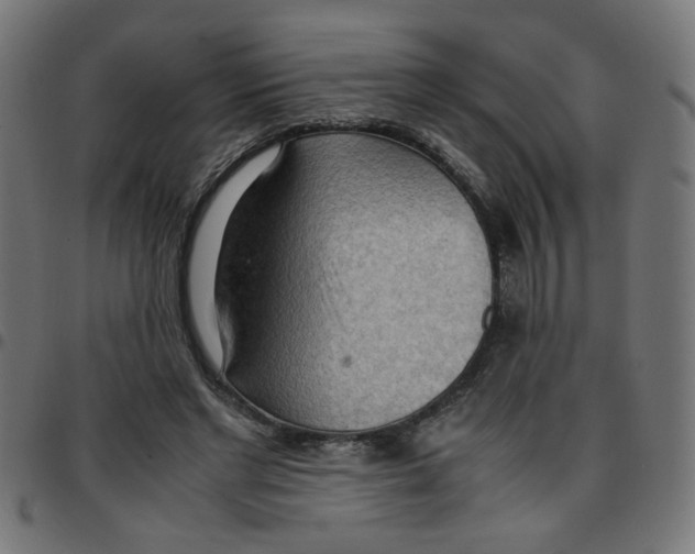 X0000096940493200803071009