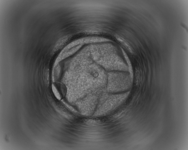 X0000096940494200803071009