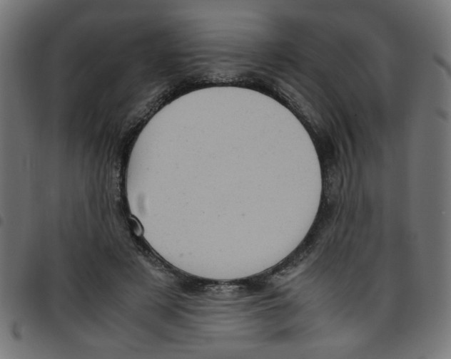 X0000096940497200803071009