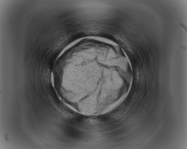 X0000096940498200803071009
