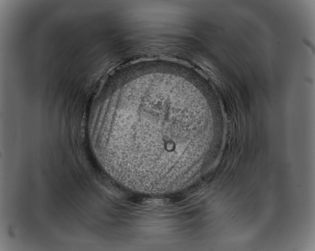 X0000096940499200803071009