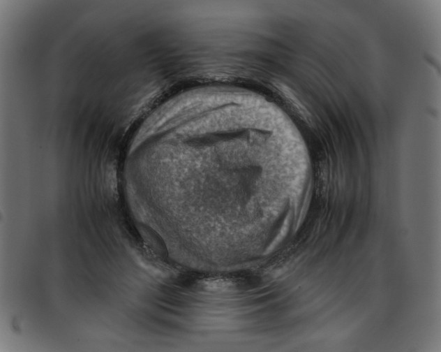 X0000096940500200803071009