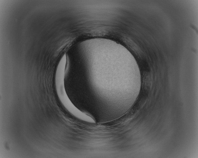 X0000096940501200803071009