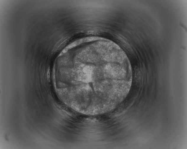 X0000096940502200803071009