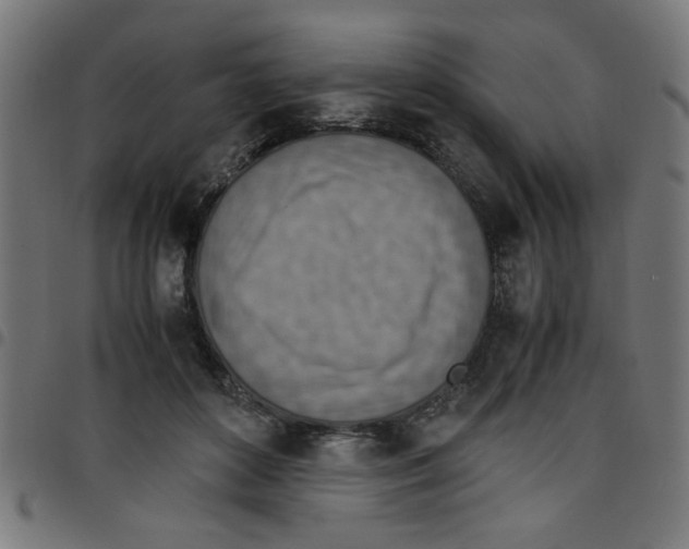 X0000096940504200803071009