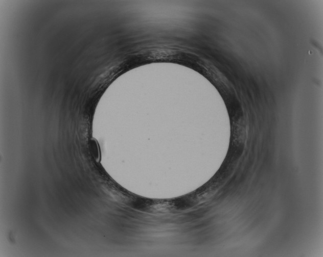 X0000096940505200803071009