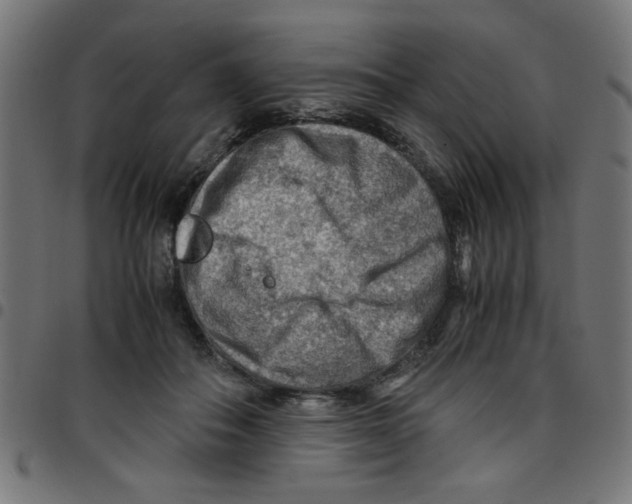 X0000096940506200803071009