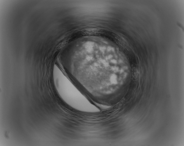 X0000096940507200803071009