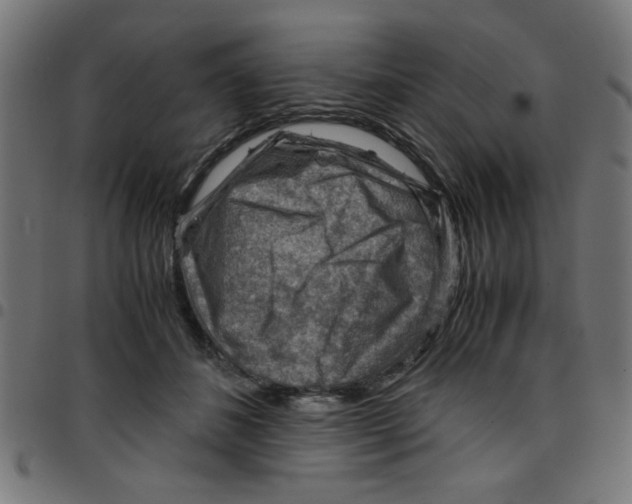 X0000096940508200803071009